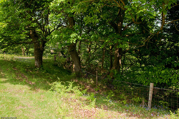 Wales 2010-517
