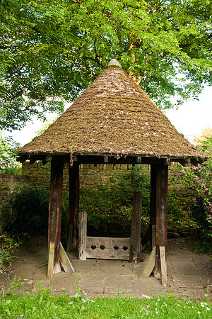 Wales 2010-685