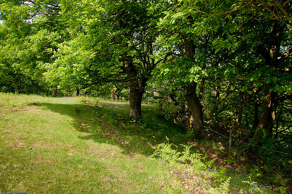 Wales 2010-518