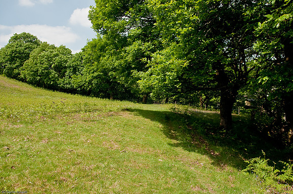 Wales 2010-519