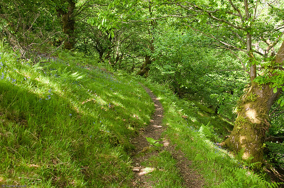 Wales 2010-522