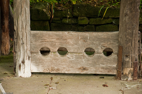 Wales 2010-687