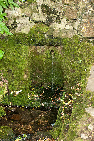 Wales 2010-688