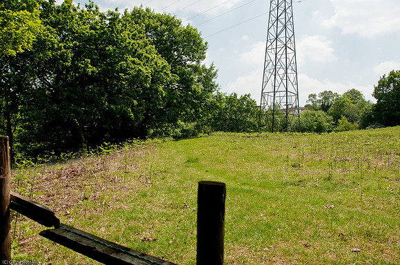 Wales 2010-523