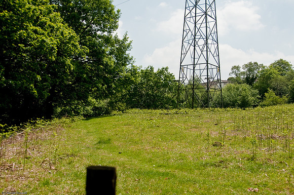 Wales 2010-524
