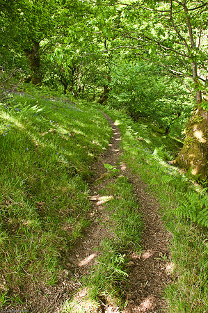 Wales 2010-525