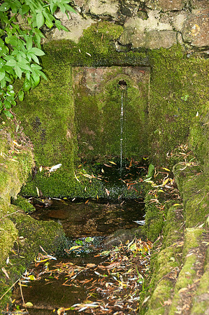 Wales 2010-689