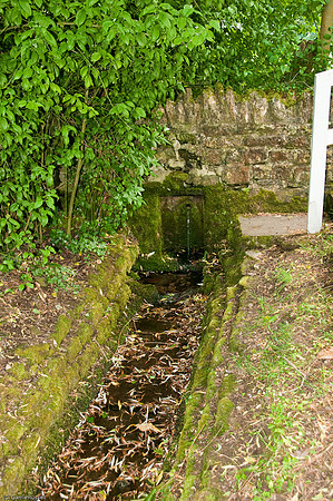 Wales 2010-690