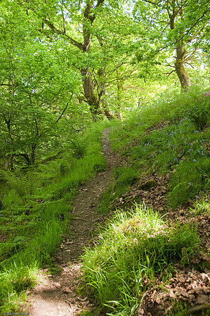 Wales 2010-527