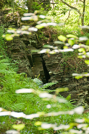 Wales 2010-534