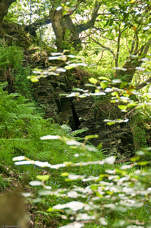 Wales 2010-535
