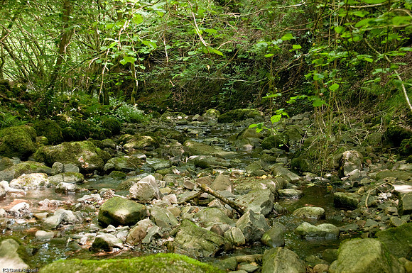 Wales 2010-541