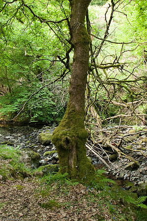 Wales 2010-543