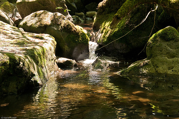 Wales 2010-547