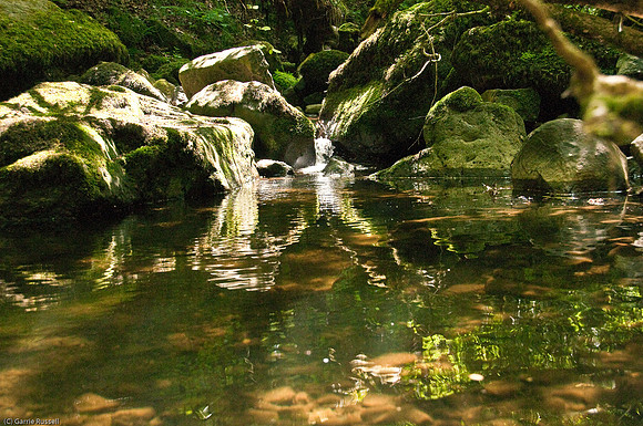 Wales 2010-548