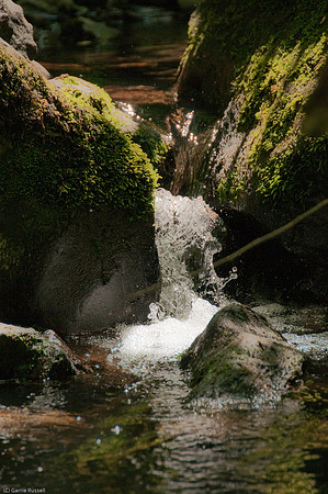 Wales 2010-549