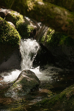 Wales 2010-552