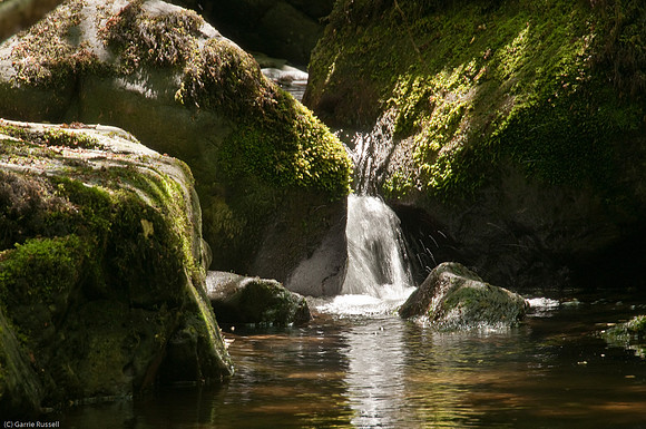 Wales 2010-553