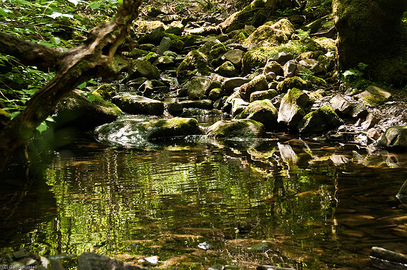 Wales 2010-554