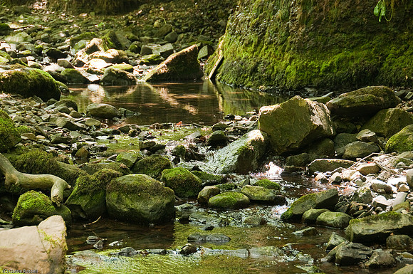 Wales 2010-555