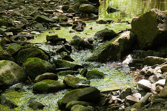Wales 2010-556