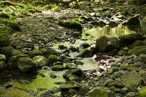 Wales 2010-557