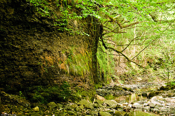 Wales 2010-561