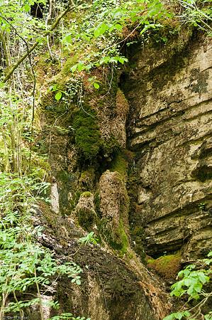 Wales 2010-564