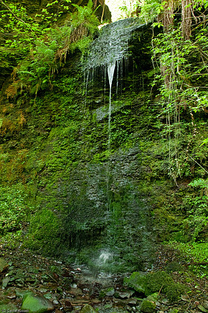 Wales 2010-565