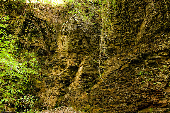 Wales 2010-568