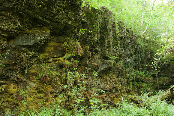 Wales 2010-569