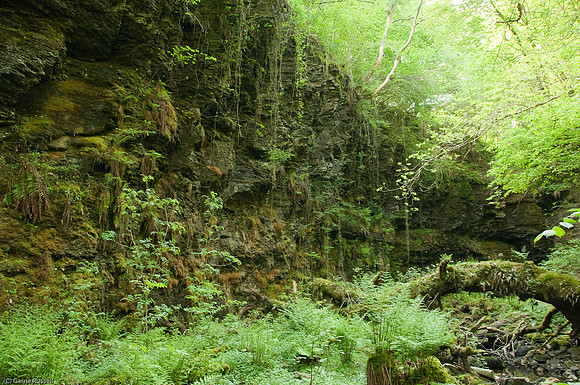 Wales 2010-570