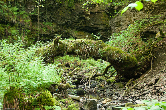 Wales 2010-571