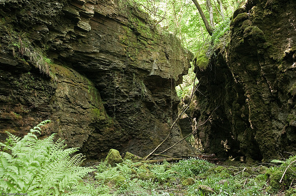 Wales 2010-573
