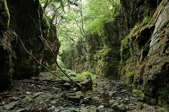 Wales 2010-574
