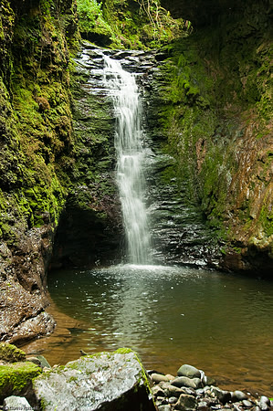 Wales 2010-575