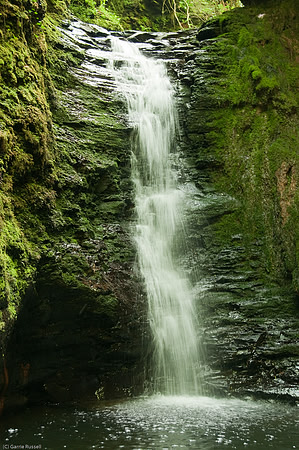 Wales 2010-579