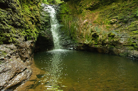 Wales 2010-581