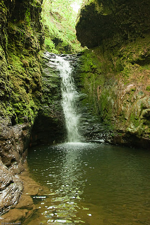 Wales 2010-582