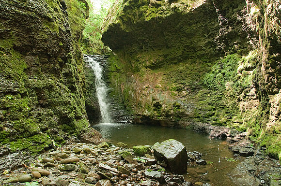 Wales 2010-583