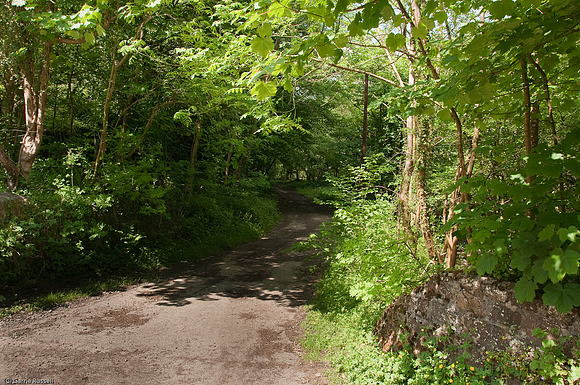 Wales 2010-584