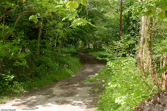 Wales 2010-585