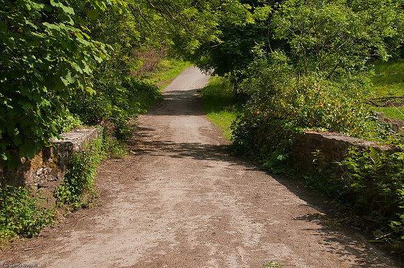 Wales 2010-586