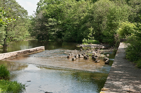 Wales 2010-592