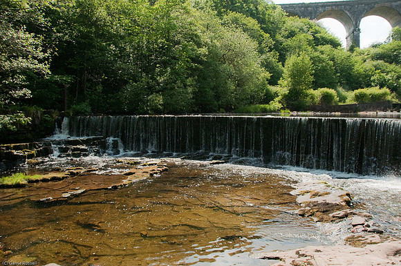 Wales 2010-595