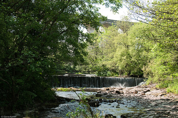 Wales 2010-596