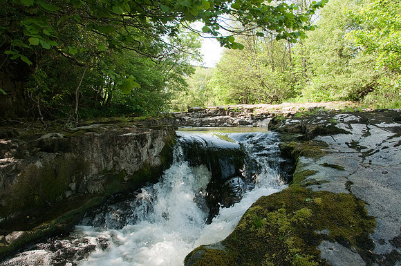 Wales 2010-598