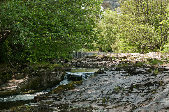 Wales 2010-599