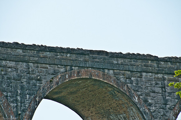 Wales 2010-601