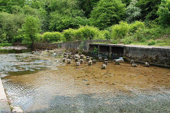 Wales 2010-603